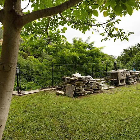 Elena E Joerg 1 * Vezzi Portio