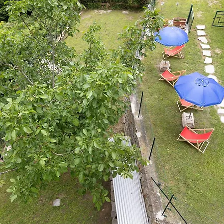 Elena E Joerg 1 * Vezzi Portio