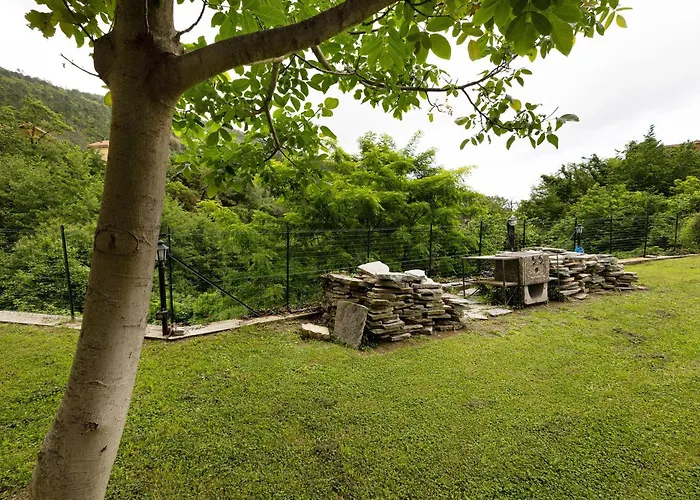 Elena E Joerg 1 * Vezzi Portio